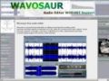 SOFTWARE :
! site de Wavosaur - l_éditeur audio gratuit